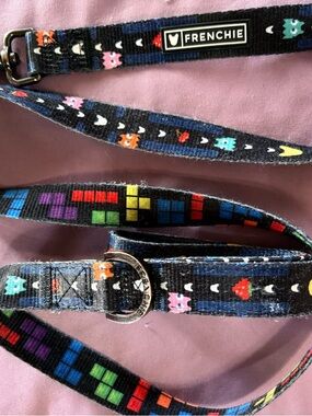 Frenchie Retro Pixel Pattern Dog Leash - Multicolor